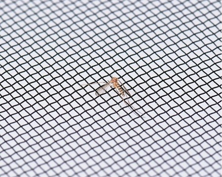 防蚊高透网多少钱一平